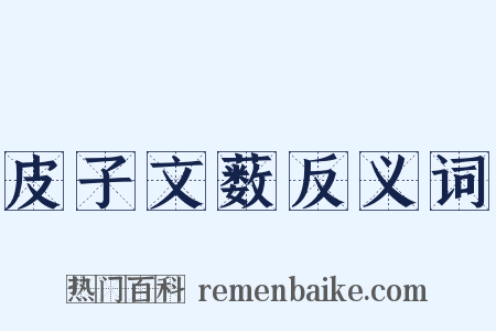 皮子文薮反义词是什么意思的图片